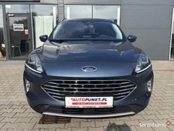 Używany 2023 Ford Kuga SUV | 96 900 zł (Dość drogi)