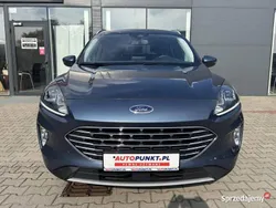Używany 2023 Ford Kuga SUV | 96 900 zł (Dość drogi)