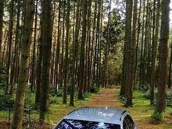 Srebrny Używany 2016 Audi A4 Comfort Kombi | 64 000 zł (Drogi)