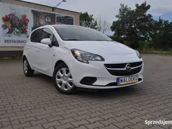 Biały Używany 2019 Opel Corsa Hatchback | 38 900 zł (Uczciwa cena)