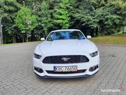 Biały Używany 2016 Ford Mustang Coupe | 84 000 zł (Drogi)