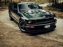 Używany 2008 Ford Mustang Bullitt | 121 000 zł