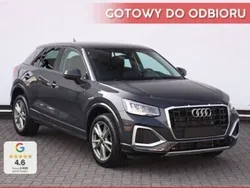 Szary Nowe 2025 Audi Q2 Advanced SUV | 162 900 zł