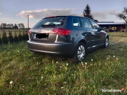 Szary Używany 2006 Audi A3 Hatchback | 16 800 zł (Dość drogi)