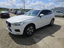 Używany 2019 Volvo XC60 Core SUV | 122 000 zł (Dość drogi)