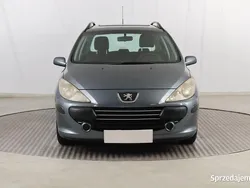 Niebieski Używany 2007 Peugeot 307 Kombi | 4999 zł (Dobra cena)