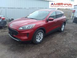 Czerwony Używany 2020 Ford Kuga SUV | 77 000 zł