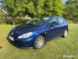 Granatowy Używany 2001 Peugeot 307 Hatchback | 7900 zł