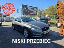 Szary Używany 2019 Jaguar XJ Sedan/Limuzyna | 105 990 zł