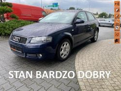 Niebieski Używany 2004 Audi A3 Hatchback | 13 900 zł (Dość drogi)