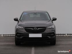Szary Używany 2019 Opel Grandland X SUV | 55 999 zł (Uczciwa cena)