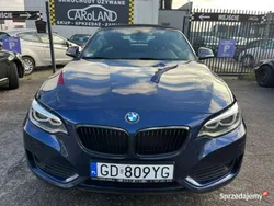 Niebieski Używany 2014 BMW 220 Kabriolet | 69 999 zł