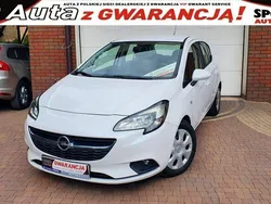 Biały Używany 2019 Opel Corsa Enjoy Hatchback | 39 700 zł (Dość drogi)