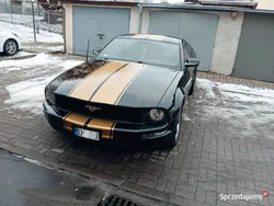 Używany 2007 Ford Mustang | 44 999 zł