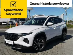 Biały Używany 2023 Hyundai Tucson SUV | 119 900 zł (Drogi)