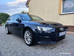 Używany 2016 Audi A4 | 74 999 zł (Dość drogi)