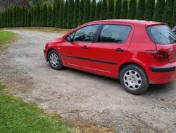 Używany 2002 Peugeot 307 | 4800 zł (Dość drogi)