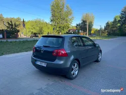 Używany 2004 VW Golf V | 7000 zł (Uczciwa cena)