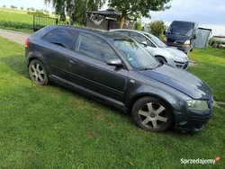 Używany 2004 Audi A3 | 6000 zł (Dobra cena)
