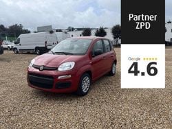 Lakier pastelowy biały gelato Nowe 2025 Fiat Panda Hatchback | 63 900 zł (Uczciwa cena)