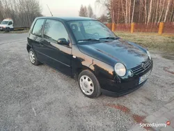 Używany 2000 VW Lupo Hatchback | 2500 zł (Uczciwa cena)