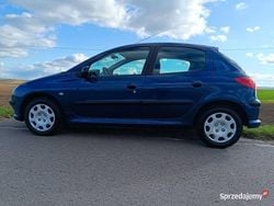 Niebieski Używany 2004 Peugeot 206 Hatchback | 8500 zł (Drogi)