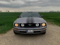 Srebrny Używany 2006 Ford Mustang Coupe | 44 900 zł