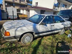 Używany 1989 Audi 100 | 10 000 zł
