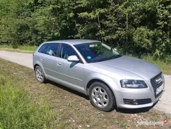 Srebrny Używany 2010 Audi A3 Hatchback | 31 999 zł (Dość drogi)