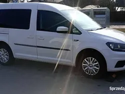 Używany 2019 VW Caddy Trendline Minivan | 39 000 zł (Uczciwa cena)