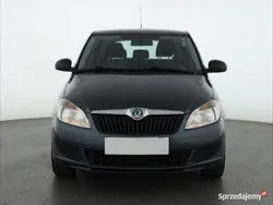Szary Używany 2011 Skoda Fabia Kombi | 15 999 zł (Dobra cena)