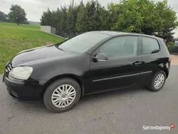 Używany 2004 VW Golf V | 7900 zł (Dobra cena)