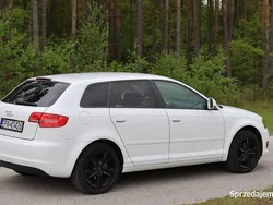 Biały Używany 2008 Audi A3 Hatchback | 18 000 zł (Uczciwa cena)