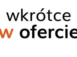 Czerwony Używany 2022 Renault Arkana Zen SUV | 85 500 zł (Uczciwa cena)