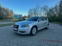 Używany 2005 Audi A3 Hatchback | 11 499 zł (Uczciwa cena)
