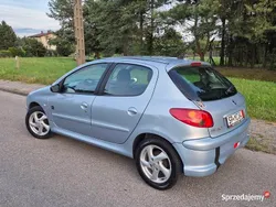 Niebieski Używany 2007 Peugeot 206 Hatchback | 8800 zł (Uczciwa cena)