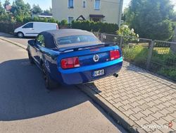 Niebieski Używany 2006 Ford Mustang Kabriolet | 39 900 zł