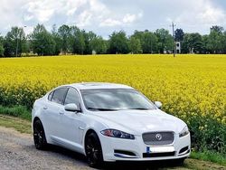 Używany 2015 Jaguar XF R Sedan/Limuzyna | 58 000 zł (Uczciwa cena)