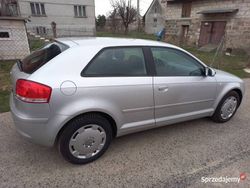 Używany 2003 Audi A3 | 13 300 zł (Dość drogi)
