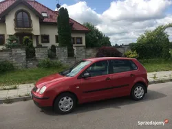 Używany 2004 VW Polo | 3000 zł (Dobra cena)