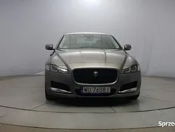 Szary Używany 2019 Jaguar XF Prestige Sedan/Limuzyna | 119 850 zł