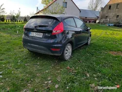 Granatowy Używany 2011 Ford Fiesta Hatchback | 12 000 zł (Uczciwa cena)