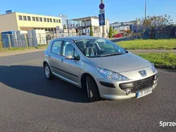 Beżowy Używany 2005 Peugeot 307 Hatchback | 6500 zł (Uczciwa cena)
