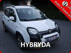 Szary Używany 2020 Fiat Panda Cross Cross Hatchback | 42 800 zł