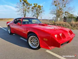Używany 1980 Pontiac Trans Am | 90 000 zł