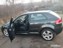 Używany 2003 Audi A3 | 7500 zł (Uczciwa cena)