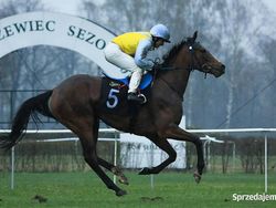 Używany 2006 Nissan Note | 9550 zł (Dość drogi)