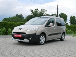 Brązowy Używany 2010 Peugeot TePee Minivan | 20 800 zł