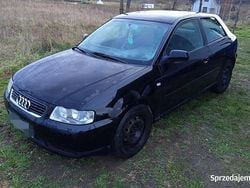 Czarny Używany 2002 Audi A3 Hatchback | 3900 zł (Uczciwa cena)