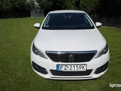 Biały Używany 2017 Peugeot 308 Hatchback | 41 999 zł (Uczciwa cena)